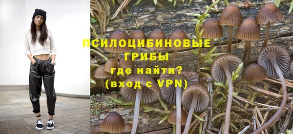 соль ск Тында