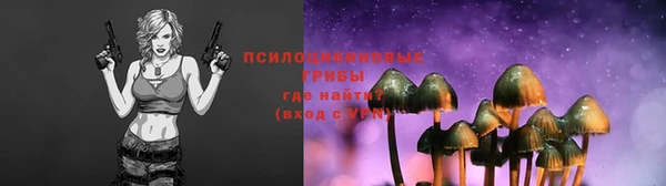 spice Туринск