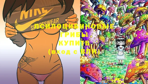 прущая мука Абаза