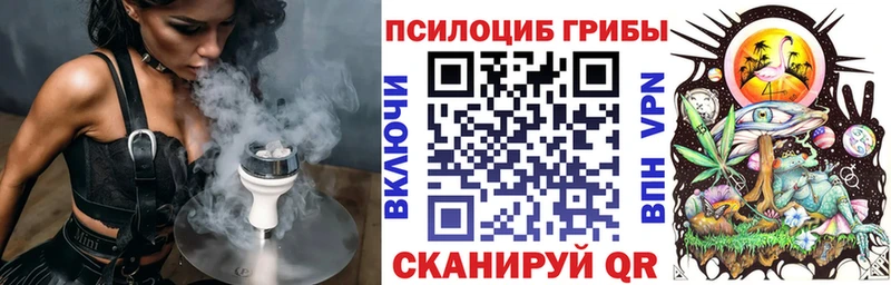 Псилоцибиновые грибы Psilocybine cubensis  Серпухов 