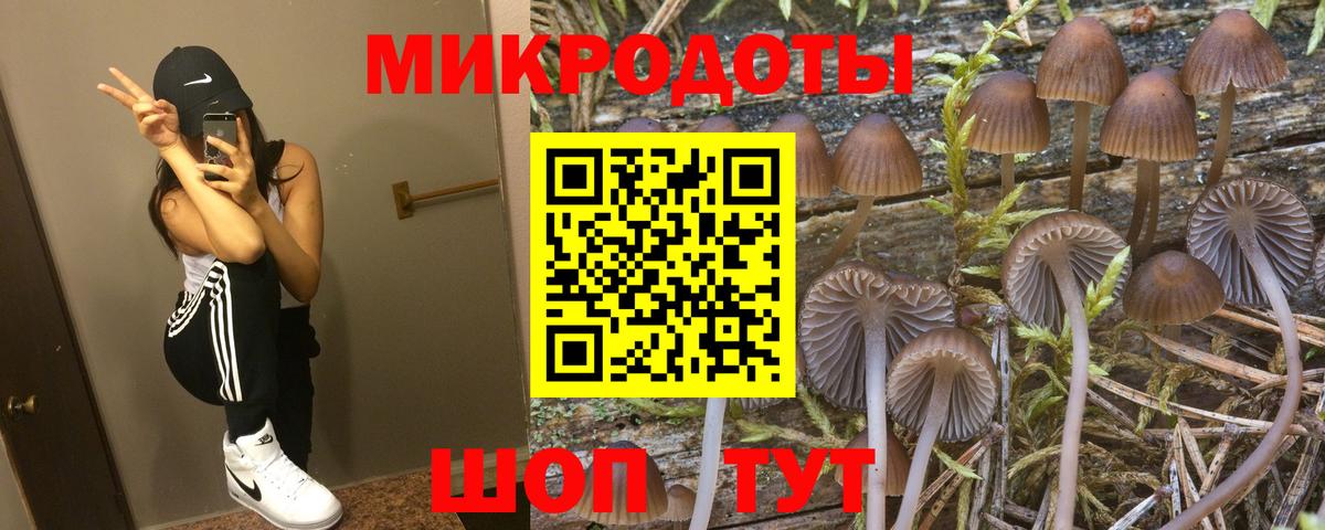 наркошоп  Галлюциногенные грибы GOLDEN TEACHER  Вход с VPN  Серпухов 